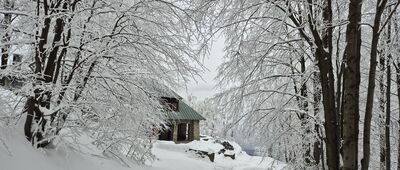 Nad Szyndzielnią ↔ Schronisko PTTK Szyndzielnia [30.03.2026]