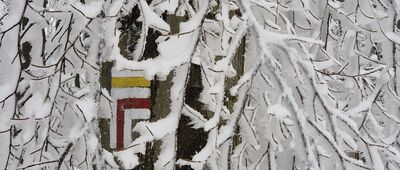 Pod Szyndzielnią [30.03.2026]