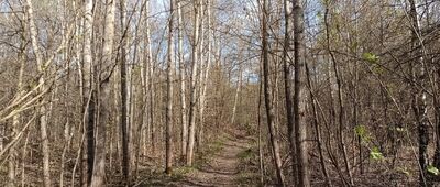 Betonówka ↔ Trzcianka