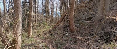 Łysa Góra, pętla ↔ Klasztor Św. Krzyża