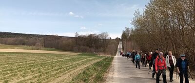 Podlesie ↔ Podlesie, granica parku narodowego