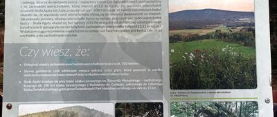 Skała Agaty