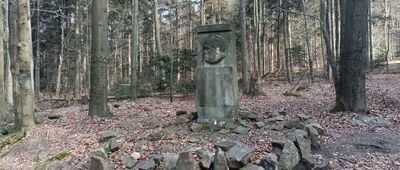 Święta Katarzyna, źródło św. Franciszka