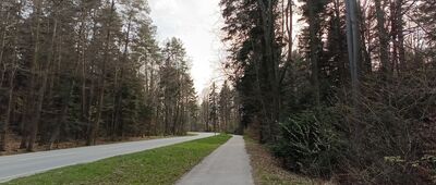 Święta Katarzyna ↔ Święta Katarzyna, groby żołnierzy AK