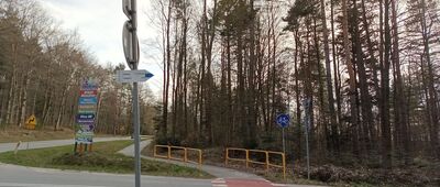 Święta Katarzyna