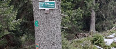 Brousek ↔ Císařská bouda