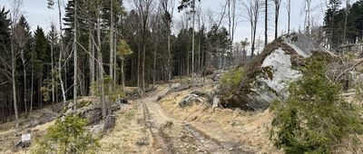 Pod Bledými skalami ↔ Bor, odbočka k vyhlídce