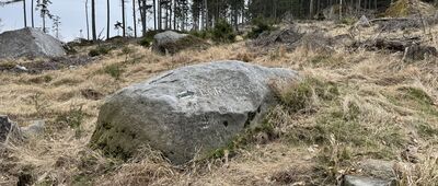 Bor, odbočka k vyhlídce