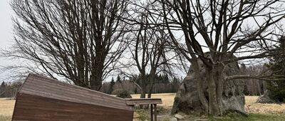 Zielona Droga ↔ Pasterskie Łąki