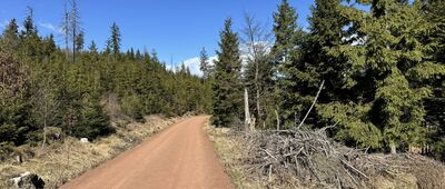 Skalne Grzyby, parking ↔ Pod Dzikiem