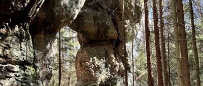 Skalne Grzyby, Skalne Wrota ↔ Skalne Grzyby, skrzyżowanie przy Borowiku