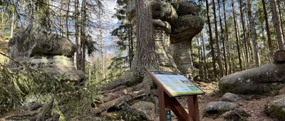 Odejście do skały Grzyby Bliźniaki