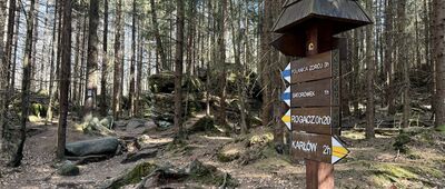 Skalne Grzyby, skrzyżowanie szlaków niebieski, żółty