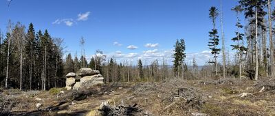 Odejście do skały Żółw