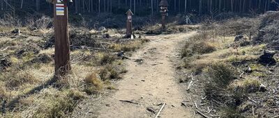 Skalne Grzyby, Dwa Borowiki