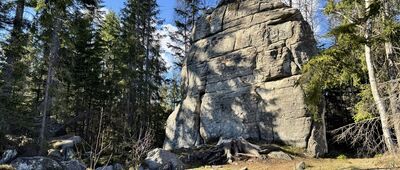 Skalne Grzyby, Rogacz ↔ Skalne Grzyby, Dwa Borowiki