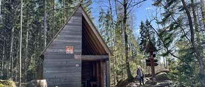 Skalne Grzyby, Rogacz