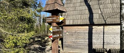 Skalne Grzyby, Rogacz