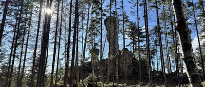 Skalne Grzyby, Rogacz