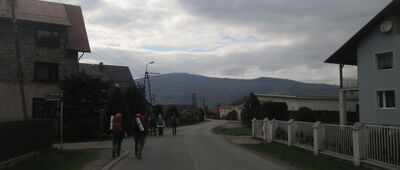 Żabnica