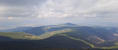 Śnieżnik