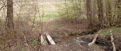 Kudowa-Zdrój, Ogród Muzyczny ↔ Źródło Marii