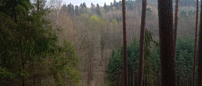 Brzozowie ↔ Nad potokiem Sejřava