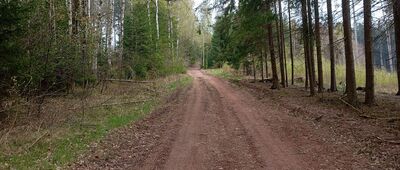 Nad potokiem Sejřava ↔ Rozdroże nad Jarkowem