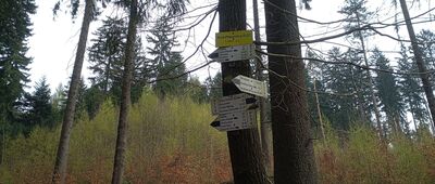 Pod Ptasznicą, PL / CZ