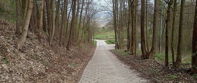 Pod Ptasznicą, PL / CZ ↔ Jarków