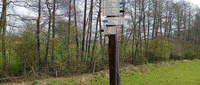 Lewin Kłodzki, rozwidlenie przy stacji kolejowej