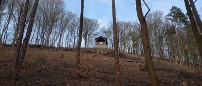 Kudowa-Zdrój, ul. Moniuszki ↔ Taras widokowy