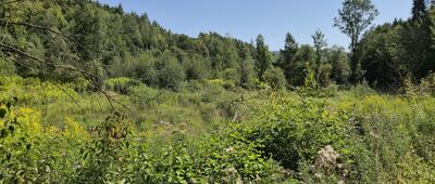 Diabla Dziura ↔ Bukowiec