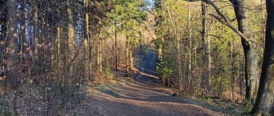 Pod Dzikowcem ↔ Dzikowiec, kolej linowa