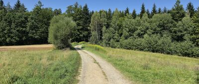 Bukowiec ↔ Pod Jamną, skrzyżowanie szlaków
