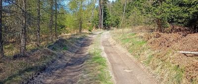 Rozejście szlaków ↔ Rozejście szlaków