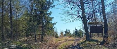 Rozejście szlaków
