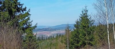 Grzędy ↔ Lesista Wielka