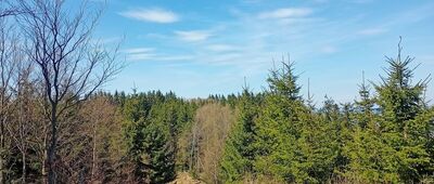 Dzikowiec Mały ↔ Pod Dzikowcem