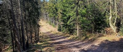 Pod Dzikowcem ↔ Dzikowiec Wielki
