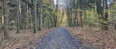 Las Wolski, Aleja do Kopca