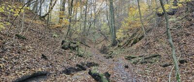 Las Wolski, aleja Panieńskich Skał ↔ Las Wolski, Panieńskie Skały