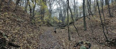 Las Wolski, aleja Panieńskich Skał ↔ Las Wolski, Panieńskie Skały