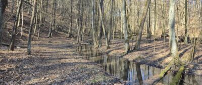 Dubie, parking leśny ↔ Dolina Racławki, ścieżka do potoku Szklarka