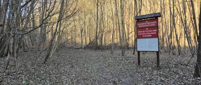 Skrzyżowanie pod Zamczyskiem ↔ Dubie, parking leśny