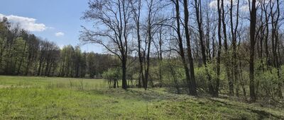 Podgórki Tynieckie ↔ Tyniec, Bogucianka