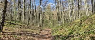 Podgórki Tynieckie ↔ Tyniec, Bogucianka