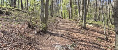 Tyniec, ul. Nad Czerną ↔ Podgórki Tynieckie