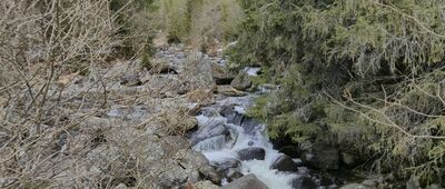 Popradské Pleso, zastavka ↔ Popradská polana