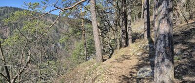 Tomášovský výhľad ↔ Čingov, Ďurkovec